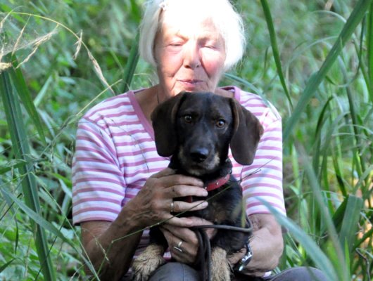 Jagdhunde wünschen sich Familienanschluss