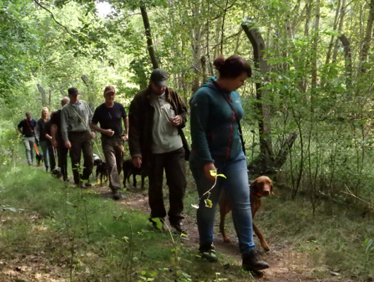 Astrid Willert Jagdhunde-Revier | Jagdhunde-Ausbildung