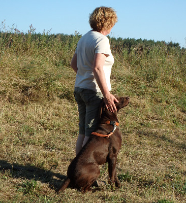 Astrid Willert Jagdhunde-Revier | Jagdhunde Ausbildung