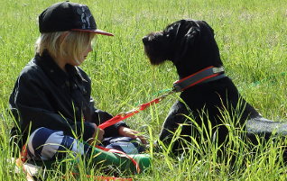 Familienhund im Alltag