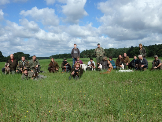 Jagdhunde Ausbildung Kurse - Jagdhunde Willkommen