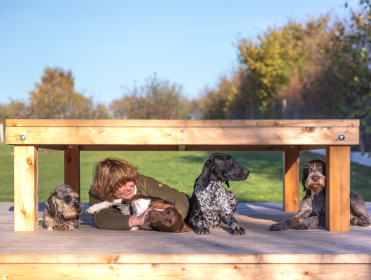 Jagdhundeausbildung - Jagdhunde Willkommen